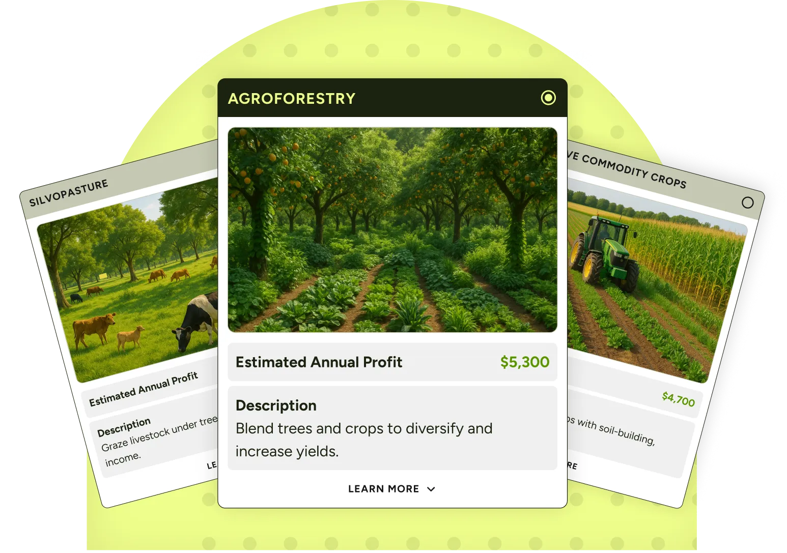Agroforestry card showing estimated annual profit